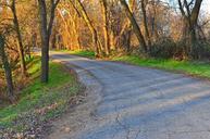 road-park-nature-landscape-forest-573576.jpg