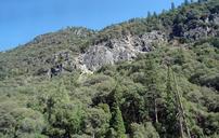 yosemite-national-park-1049345.jpg