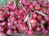 onion-red-onion-vegetable-food-438217.jpg