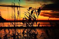 lake-balaton-sunset-lake-colors-580701.jpg