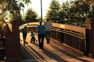 family-bridge-sunset-tricycle-1454783.jpg