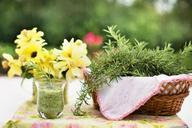 rosemary-herb-food-healthy-919233.jpg