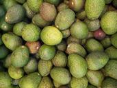 avocado-green-vegetable-fresh-164590.jpg