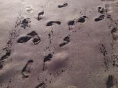 bank-footprints-beach-sand-1232582.jpg