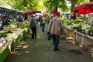 market-vegetable-market-1558658.jpg