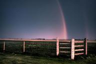 Tree-in-a-blueberry-field-under-a-double-rainbow.jpg