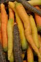 carrots-vegetables-roots-234858.jpg