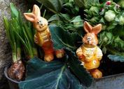 easter-rabbit-decoration-festival-321575.jpg