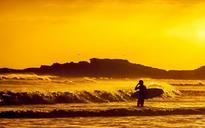 surfer-ocean-beach-surfing-691029.jpg