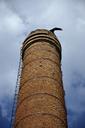 chimney-abandoned-fear-634122.jpg