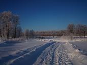 winter-landscape-forest-bridge-1124246.jpg