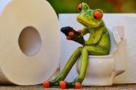 frog-toilet-loo-session-funny-1037251.jpg