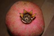 pomegranate-fruit-pomegranates-1320036.jpg