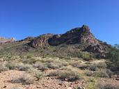 desert-cactus-arizona-nature-1197272.jpg