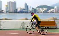 cycling-bicycle-cycle-cyclist-1616598.jpg