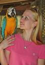 parrot-macaw-weave-woman-love-1349765.jpg