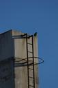 chimney-factory-head-stainless-433007.jpg