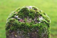 mast-stone-moss-post-fence-green-1053304.jpg