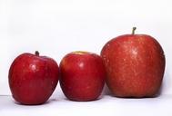 apples-fruit-food-healthy-organic-498572.jpg