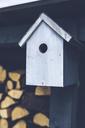 birdhouse-bird-gray-grey-wood-791654.jpg