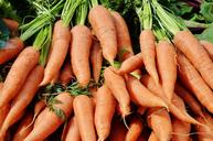 carrots-vegetables-harvest-plant-366191.jpg