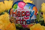 happy-birthday-balloon-birthday-1134047.jpg