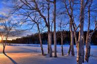 winter-landscape-sunset-twilight-1152641.jpg