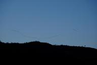 flock-of-birds-fly-birds-sky-1481132.jpg