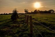 meadow-sun-back-light-grass-fence-289299.jpg