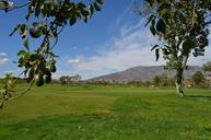 golf-avocado-spain-santana-1649258.jpg