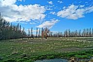 swamp-spring-clouds-forest-1608201.jpg