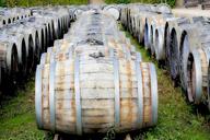 cave-wine-barrels-barrel-1667934.jpg