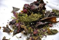 seaweed-dried-food-1489512.jpg