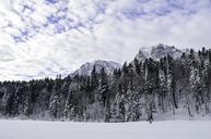 cold-december-forest-frost-frozen-1122727.jpg