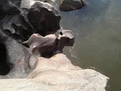 riverbed-river-rocks-1587858.jpg