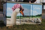 graffiti-street-art-swan-laboe-1023531.jpg