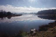 pond-lake-water-landscape-nature-96134.jpg