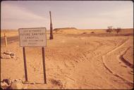 SAGUARO_CACTUS_IN_PEER_VALLEY,_SITE_OF_A_NEW_SANITARY_LANDFILL_-_NARA_-_544023.tif