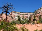 zion-national-park-utah-usa-rock-207608.jpg