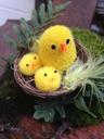 easter-chicks-toy-nest-cute-286507.jpg