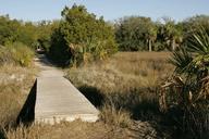 Trail bridge in park.jpg