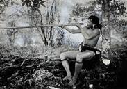 Borneo; a Kenya man demonstrating the blowpipe. Photograph Wellcome V0031236.jpg