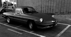 vintage-car-alfa-romeo-cabrio-sport-787215.jpg