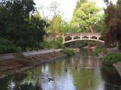 UC Davis arboretum - ducks.jpg