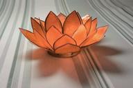 water-lily-glass-orange-decoration-656995.jpg