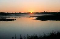 Sunrise over marsh.jpg