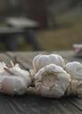 garlic-mat-onion-75890.jpg