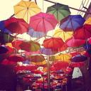 umbrella-rain-colors-878377.jpg