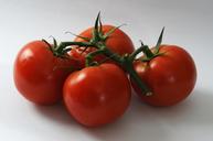 tomatoes-fresh-vegetables-healthy-1241016.jpg