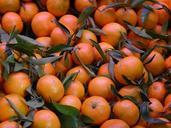 fruit-mandarins-orange-1043652.jpg